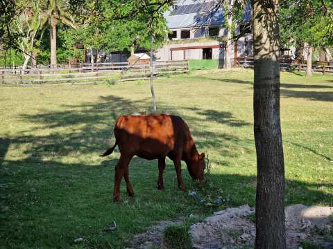 Farm Sanctuary SA — photo 3