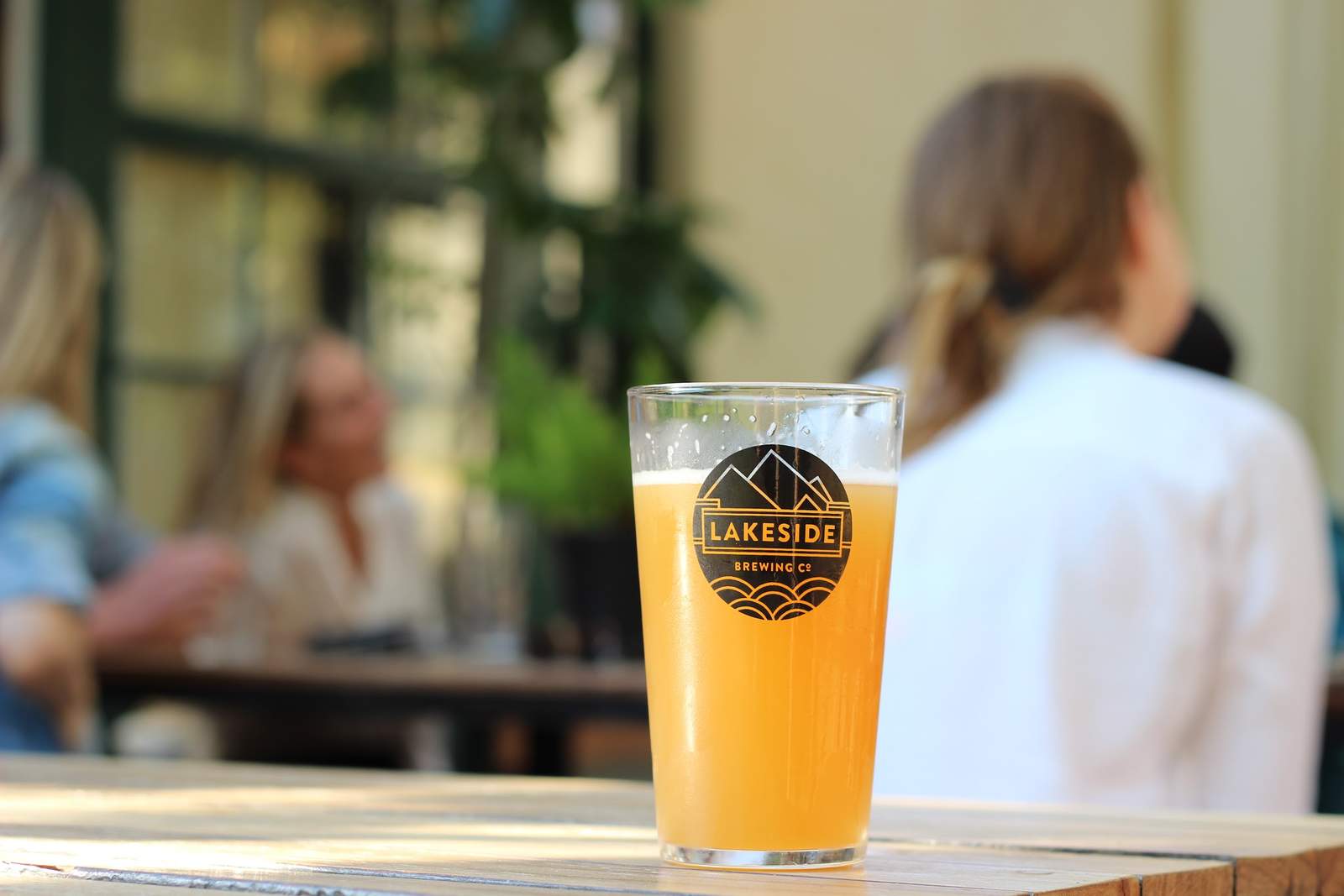 Lakeside Brewing Co — photo 1