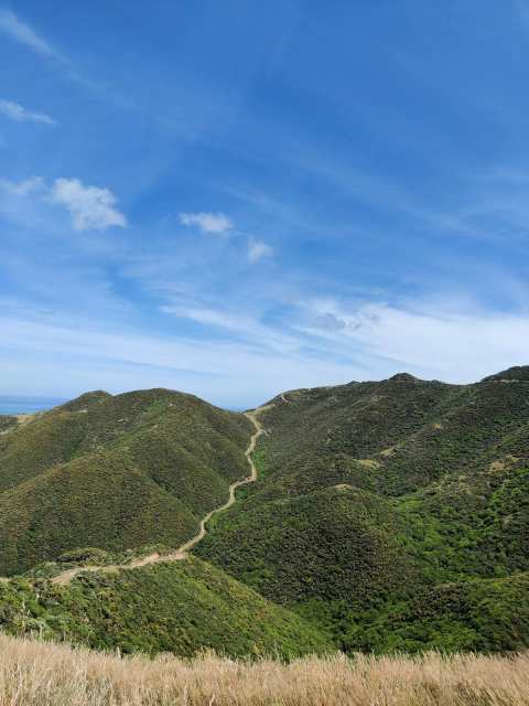 Tip Track — photo 2