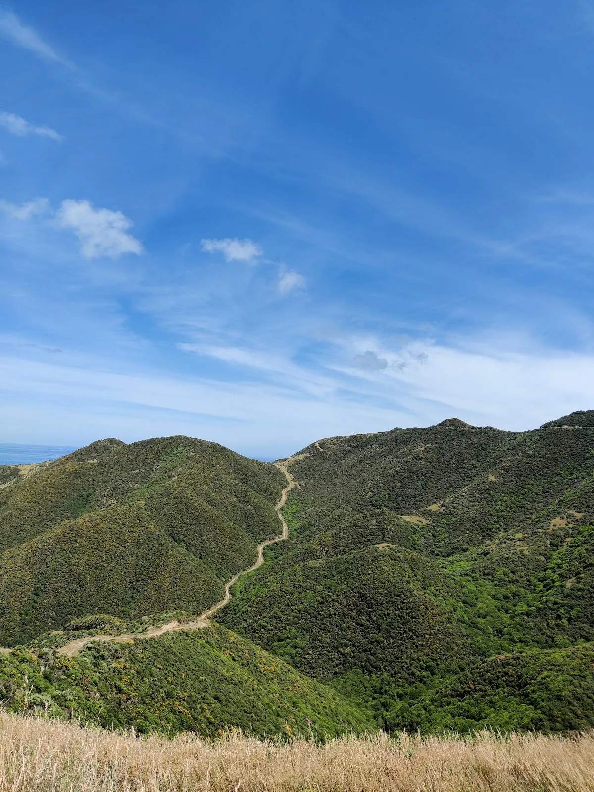 Tip Track — photo 2