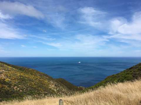Tip Track — photo 3