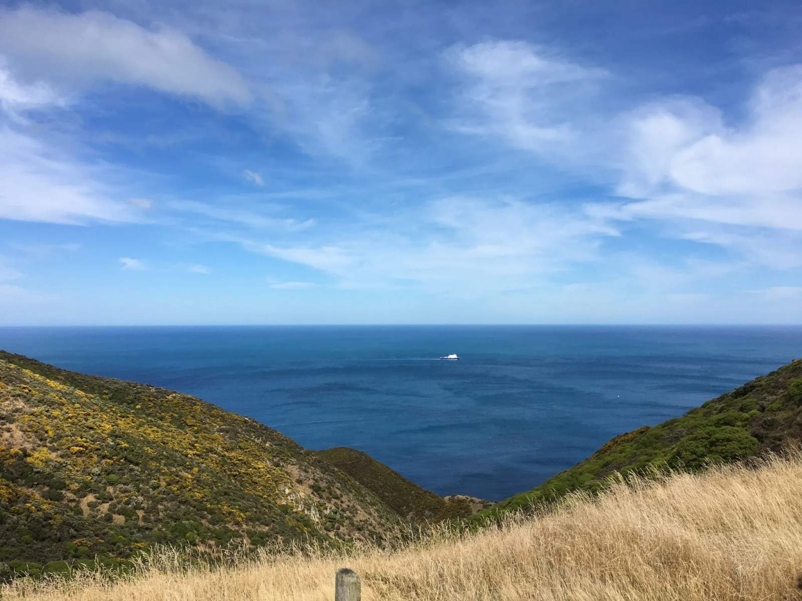 Tip Track — photo 3