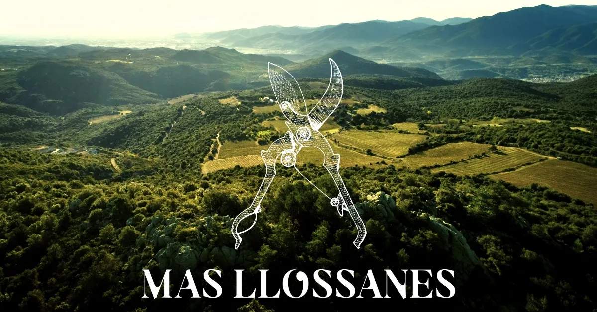 Vignoble du Mas Llossanes — photo 1