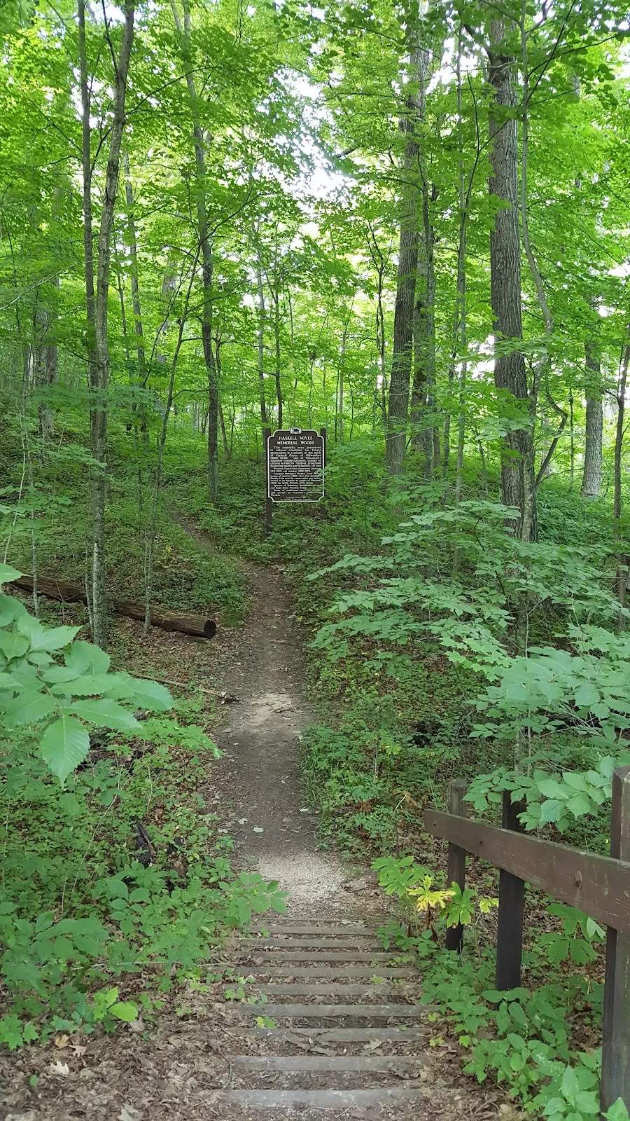 Wisconsin Historical Marker 539: Haskell Noyes Memorial Woods — photo 1