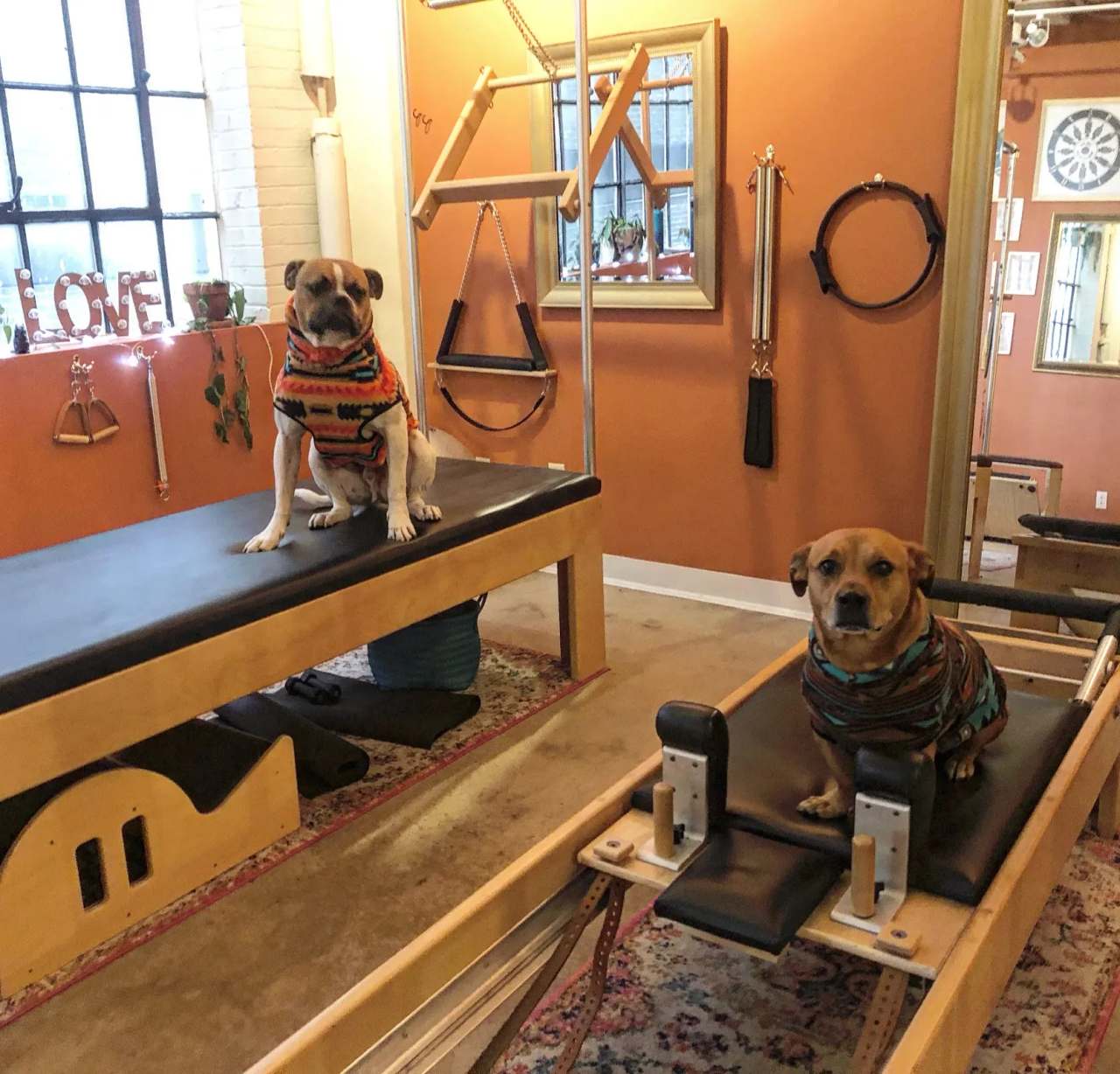 Flying Squirrel Pilates — photo 3