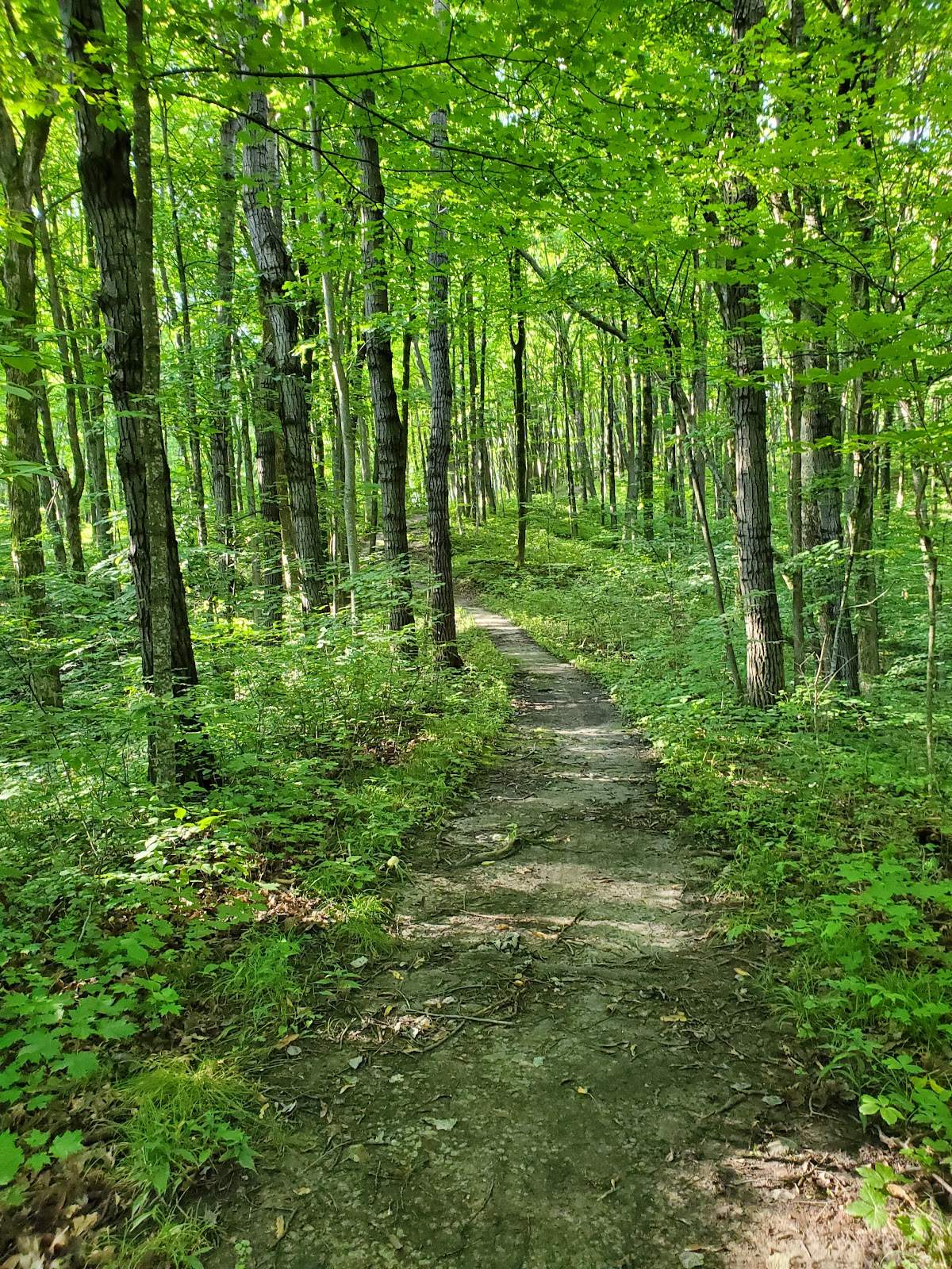 Ice Age Trail - West Bend Segment — photo 1