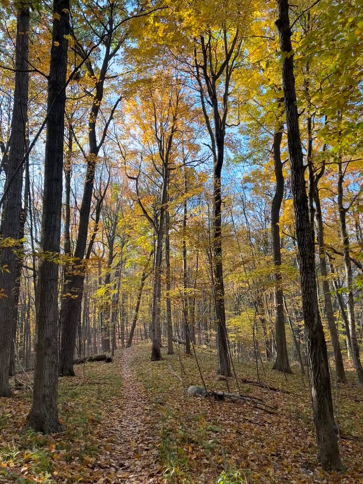 Ice Age Trail - West Bend Segment — photo 2