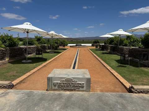 Weltevrede Wine Estate — photo 2
