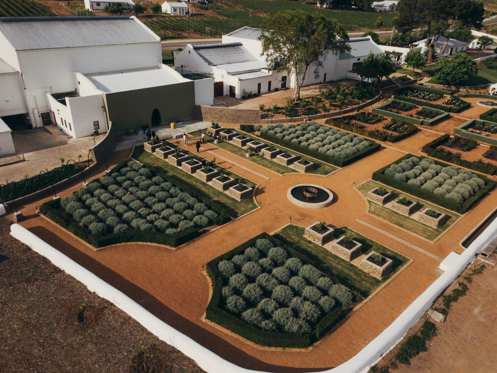 Weltevrede Wine Estate — photo 1