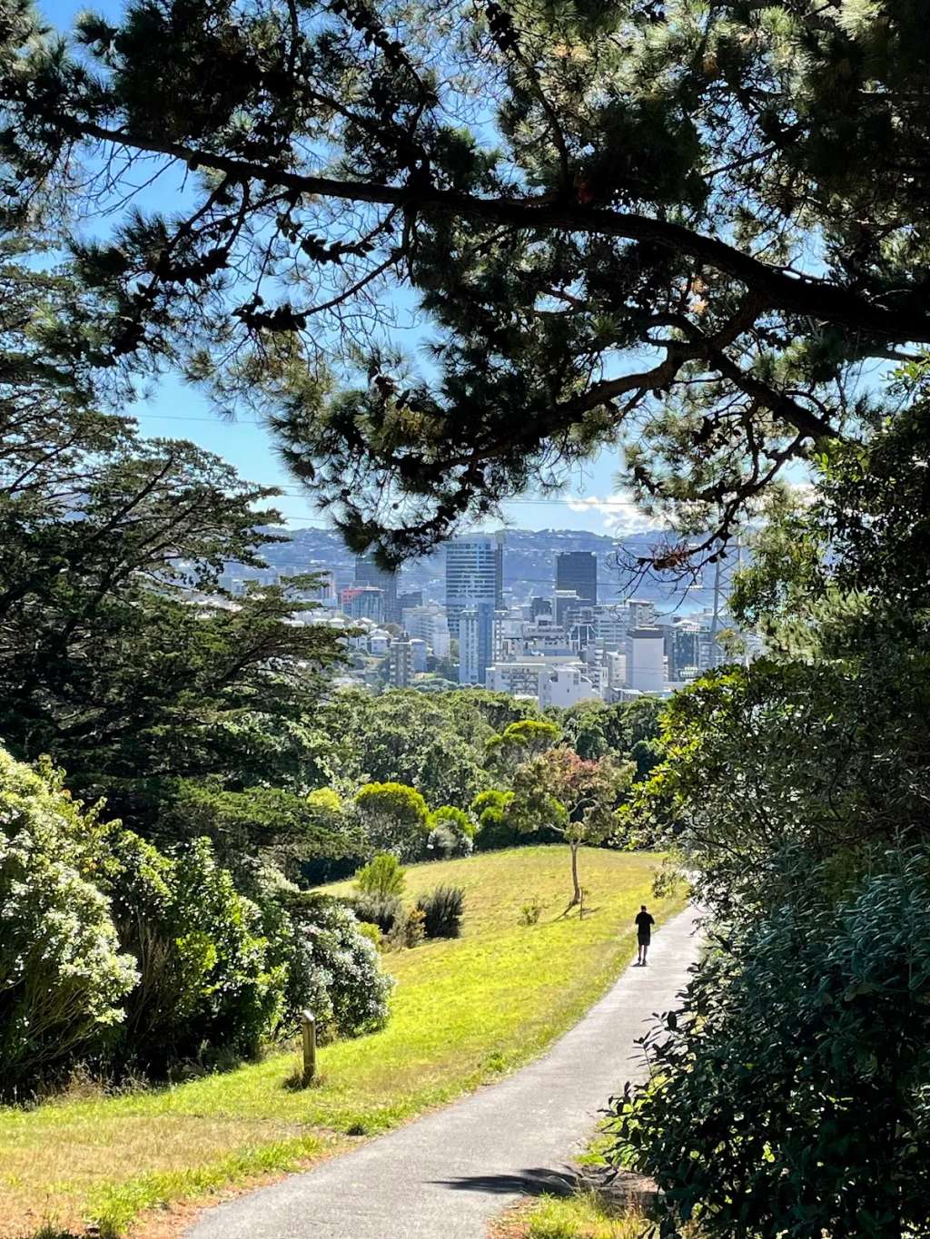 Central Park