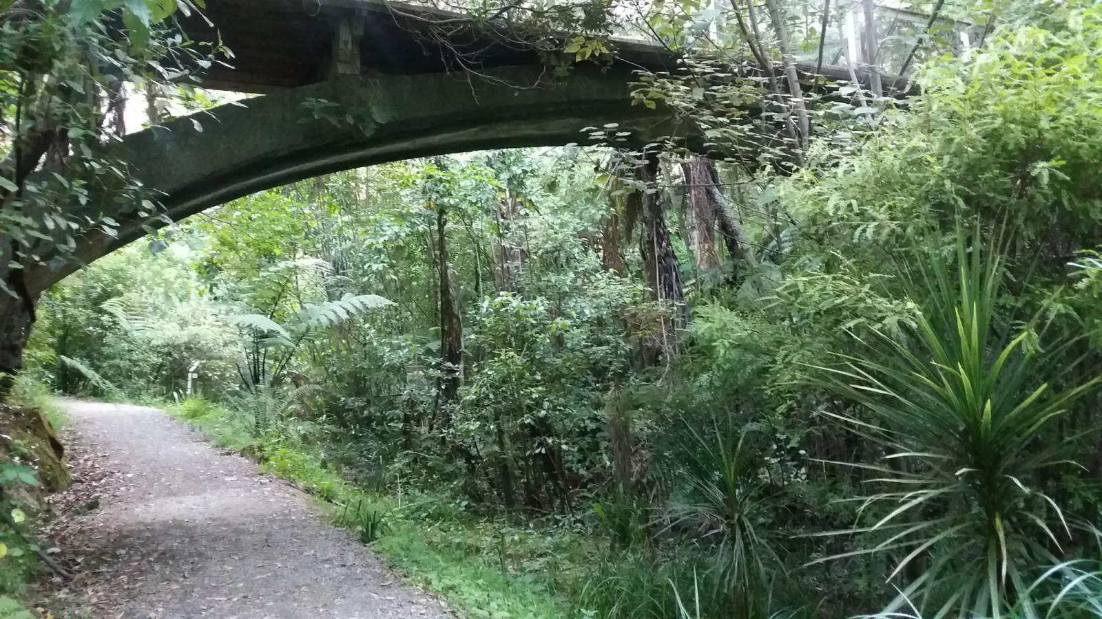 Central Park — photo 3