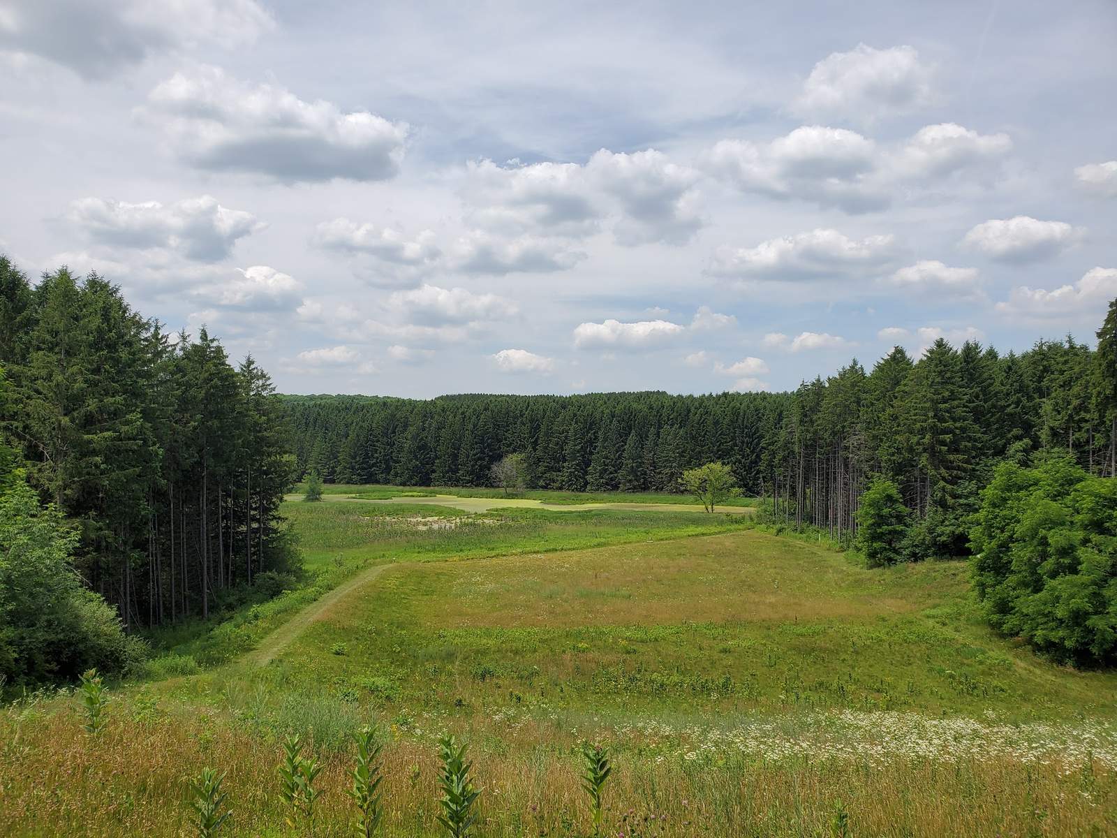 Glacier Hills County Park — photo 2