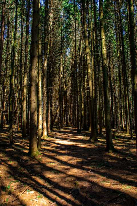 Glacier Hills County Park — photo 4
