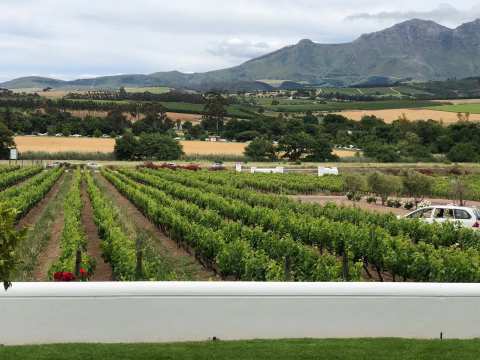 Beyerskloof — photo 3