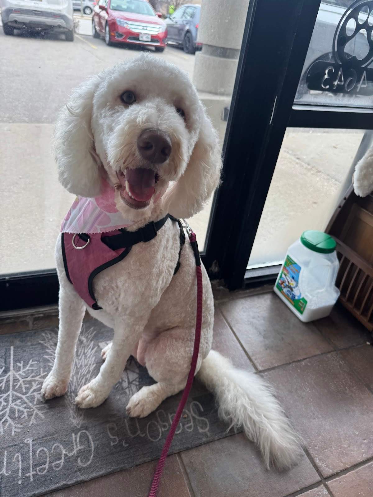 Luxury Pet Spa, LLC — photo 1