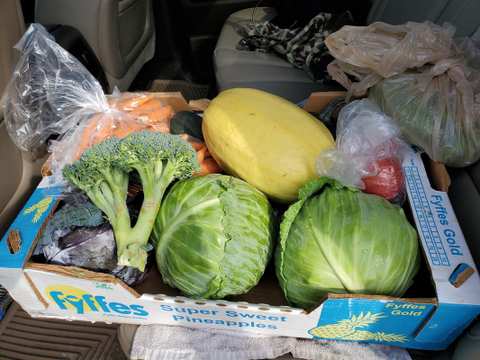 Saturday Hartford Farmer's Market — photo 3