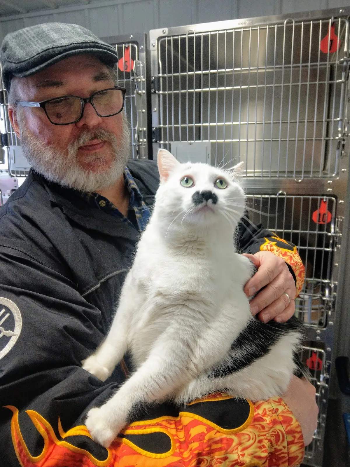 Langlade County Humane Society — photo 1