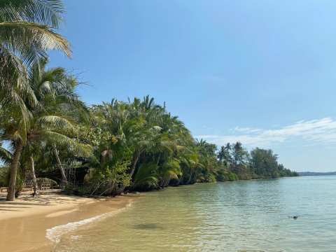 Hidden Beach Resort — photo 5
