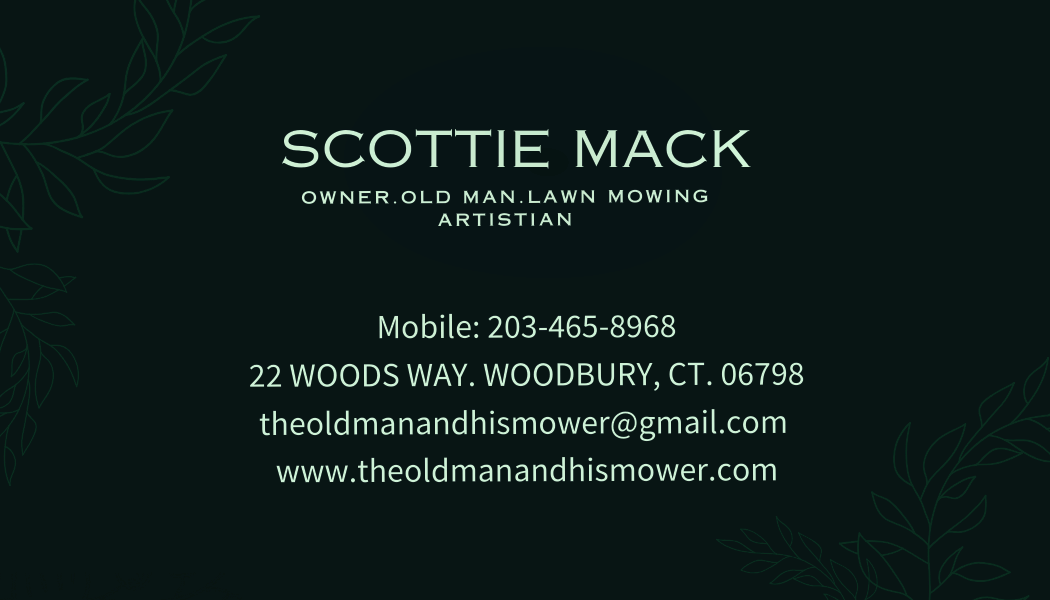 The Old Man And His Mower — photo 1