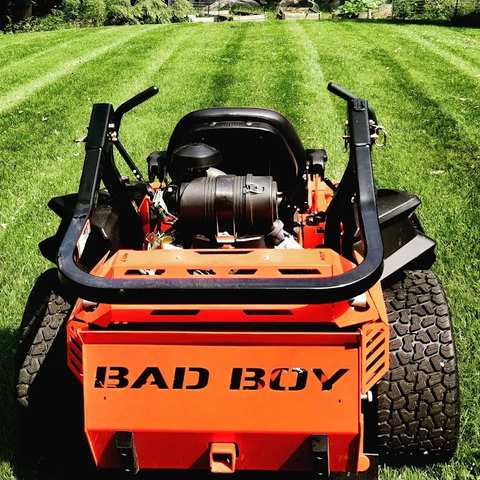 The Old Man And His Mower — photo 3