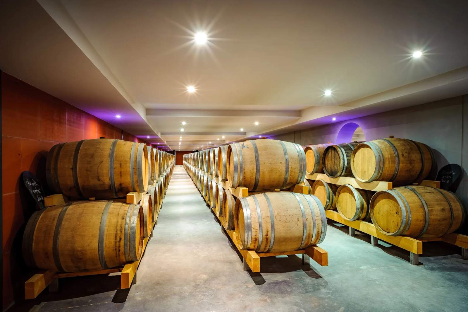Vineyards DOM BRIAL — photo 1