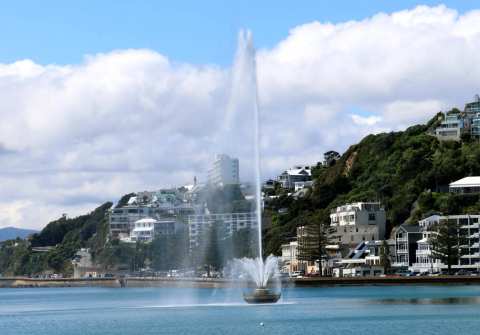 Oriental Bay Lookout — photo 3