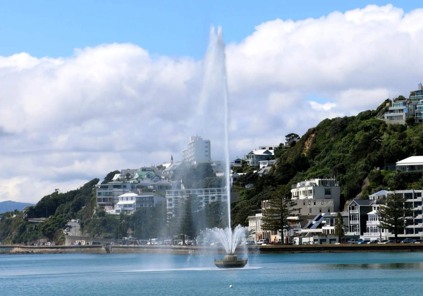 Oriental Bay Lookout — photo 3