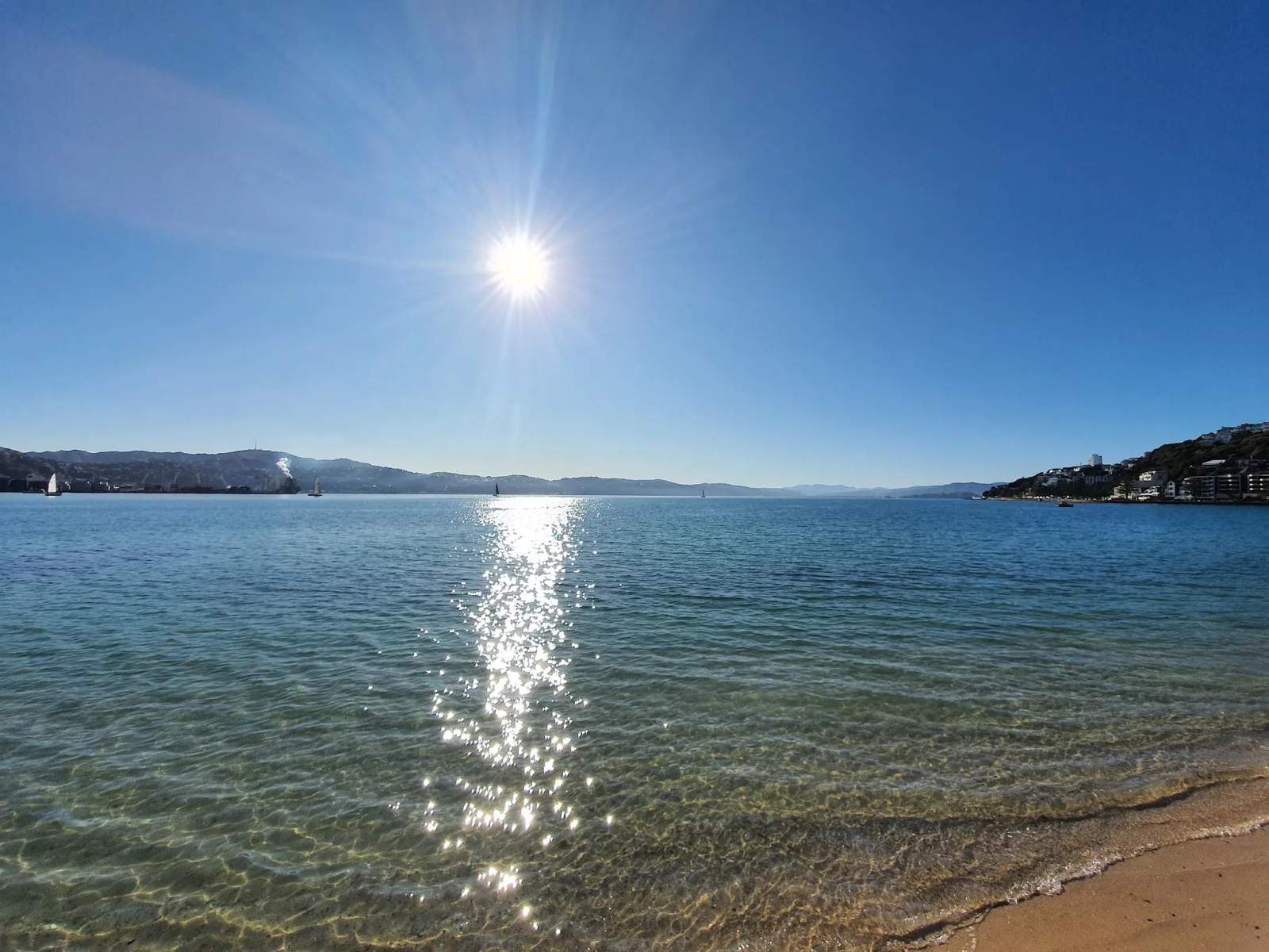 Oriental Bay Lookout — photo 2
