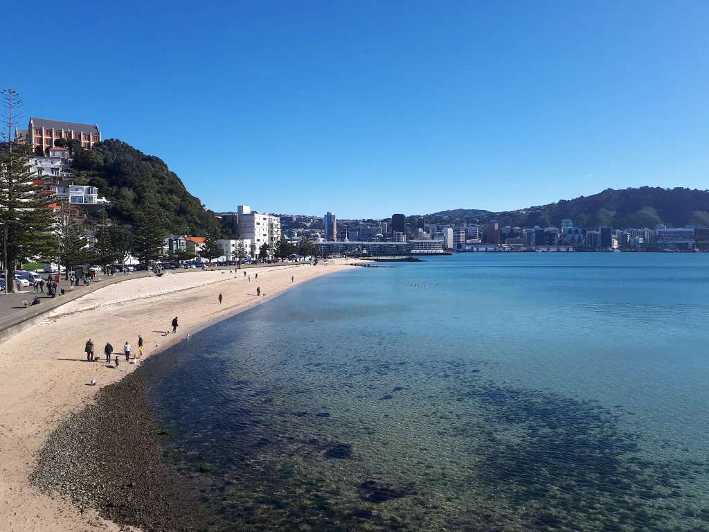 Oriental Bay Lookout