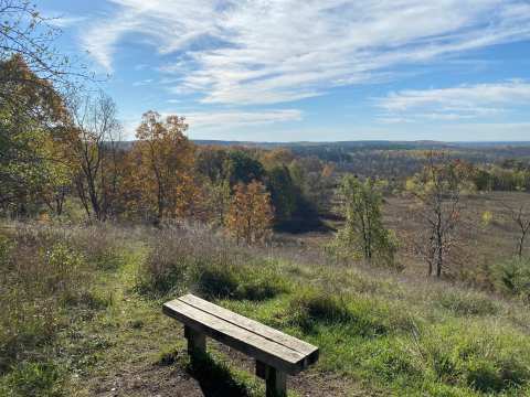 Long Lake Recreation Area — photo 3