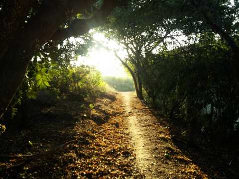 Holla Trails — photo 5