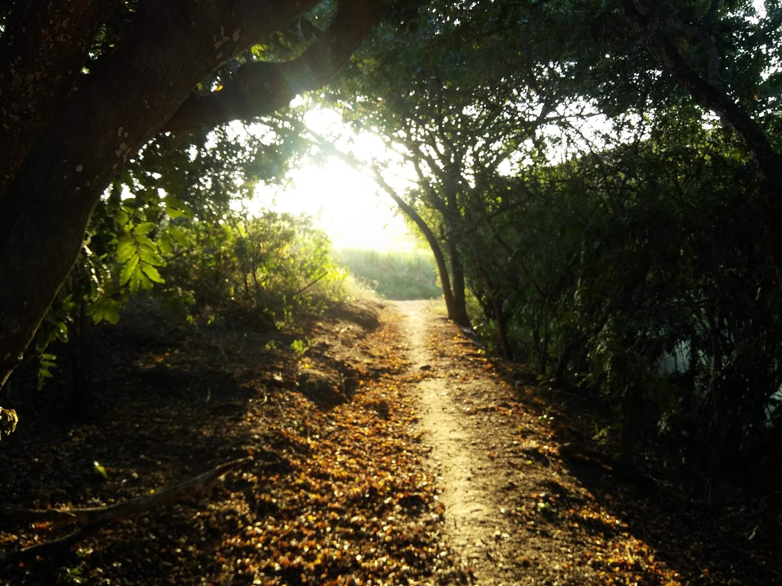 Holla Trails — photo 5