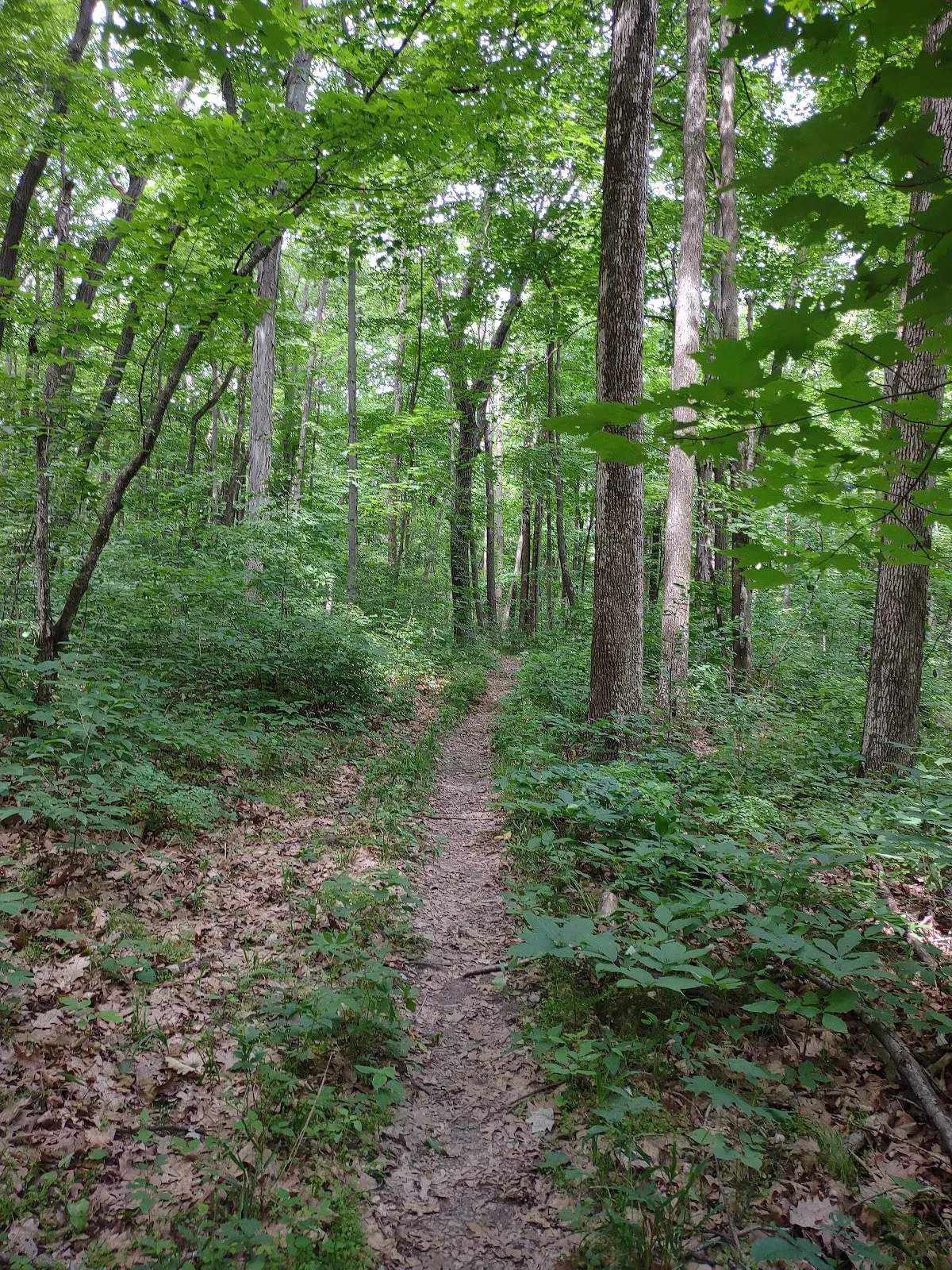 Greenbush Recreation Area — photo 1