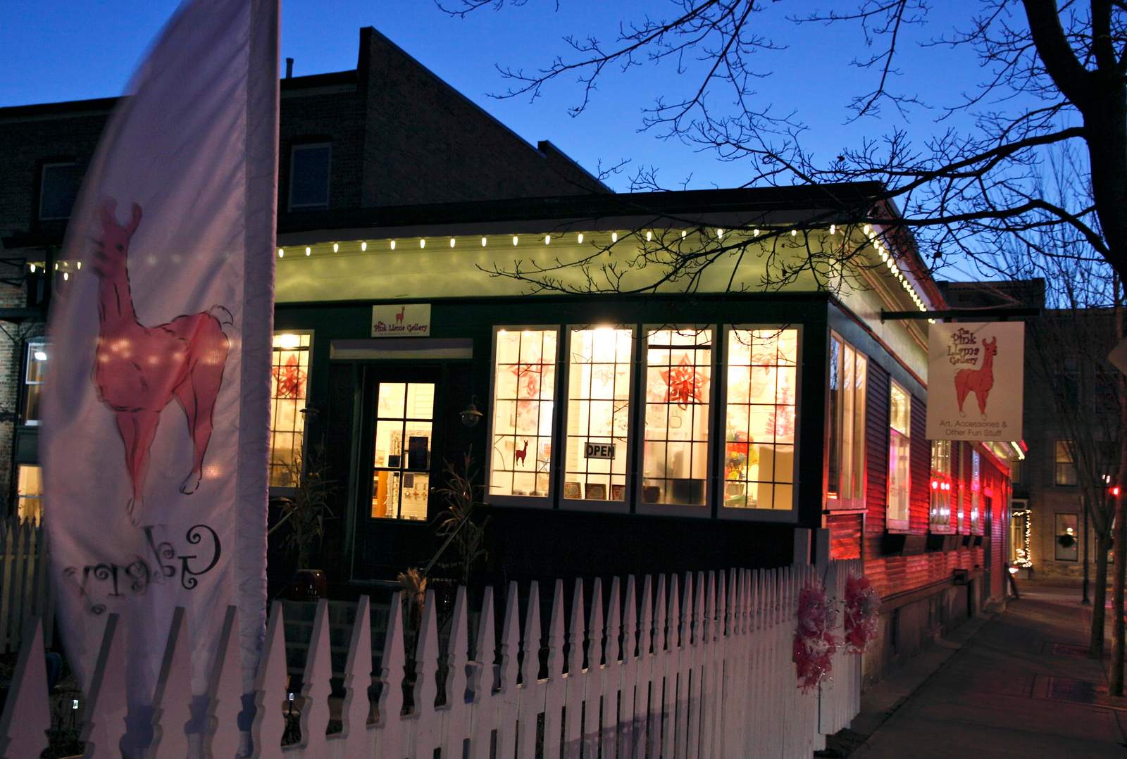 The Pink Llama Gallery — photo 3