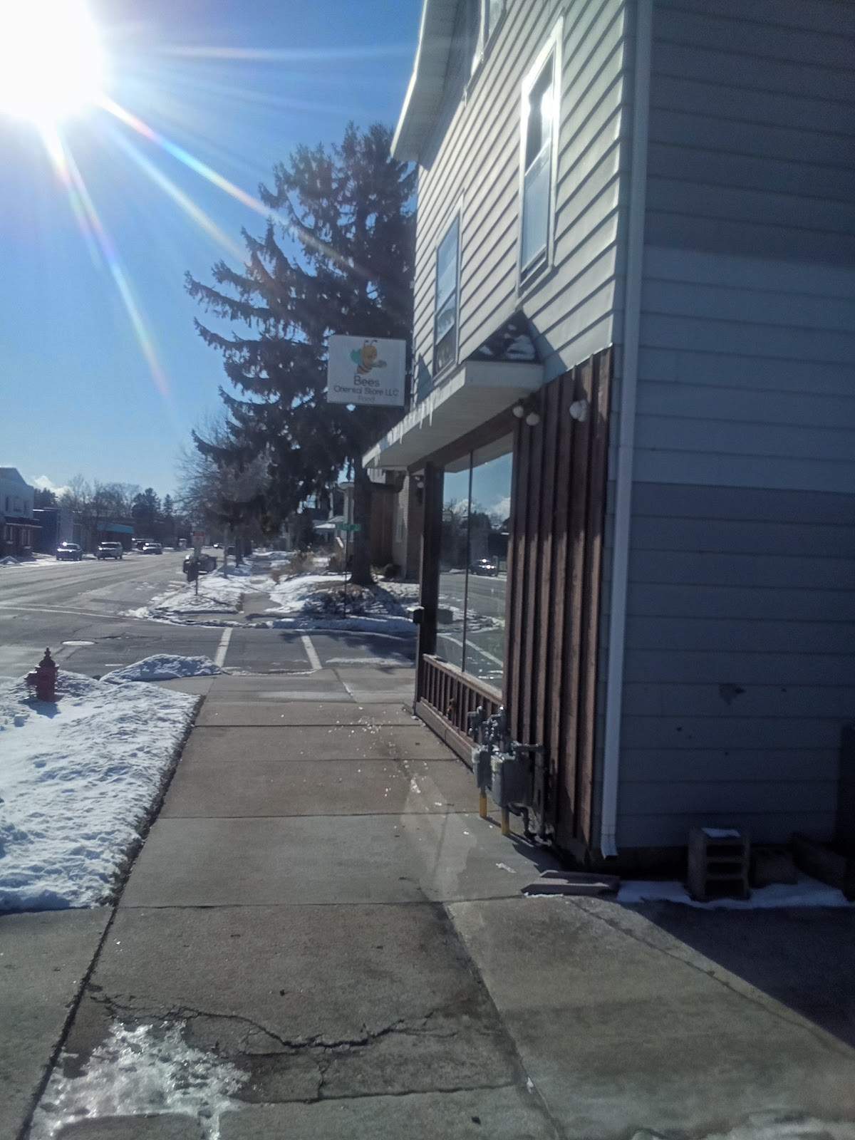 Bees Oriental Store LLC — photo 1