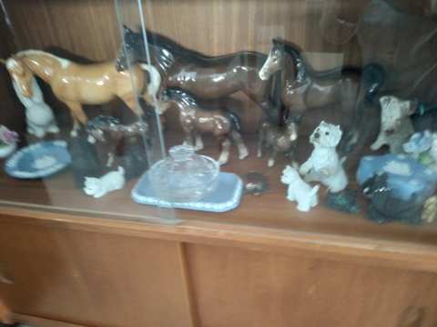 Boland Pickers — photo 2