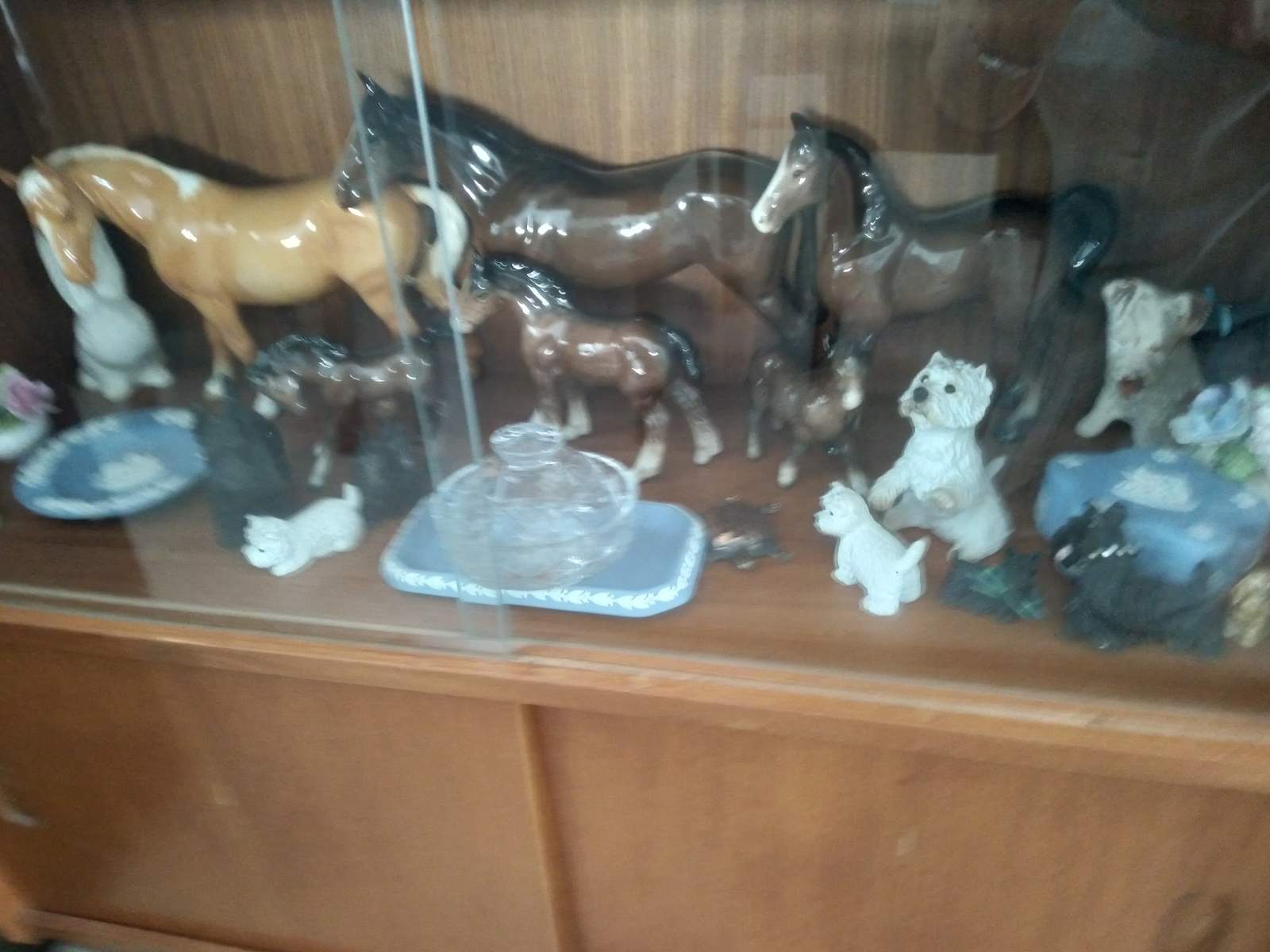 Boland Pickers — photo 2