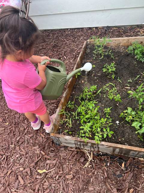 Epic Childcare — photo 3