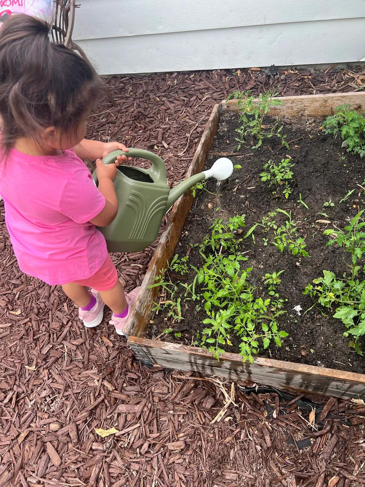 Epic Childcare — photo 3