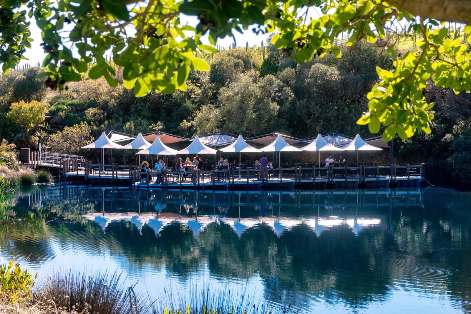 Precious Hidden Valley — photo 5