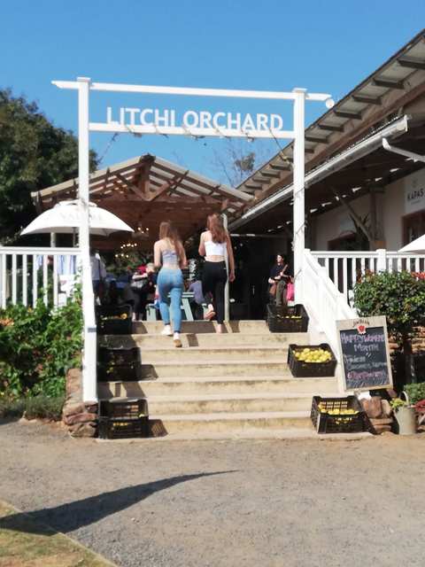 The Litchi Orchard. — photo 3