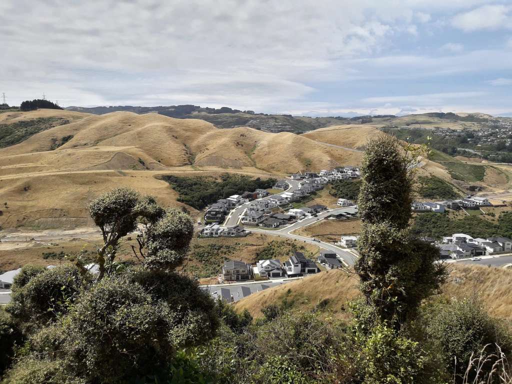 Callender Reserve Churton Park