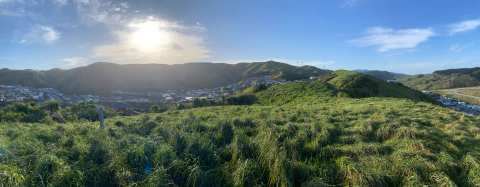 Callender Reserve Churton Park — photo 3