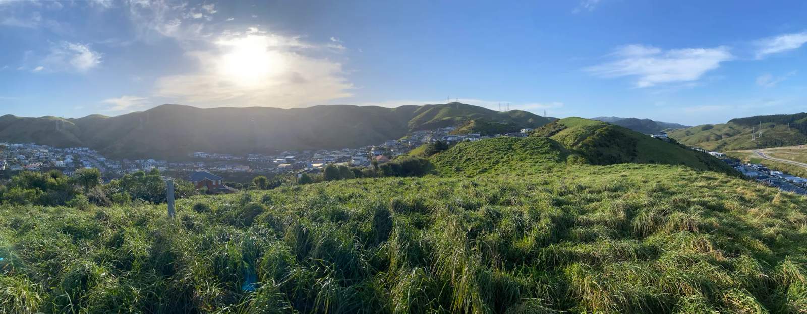 Callender Reserve Churton Park — photo 3