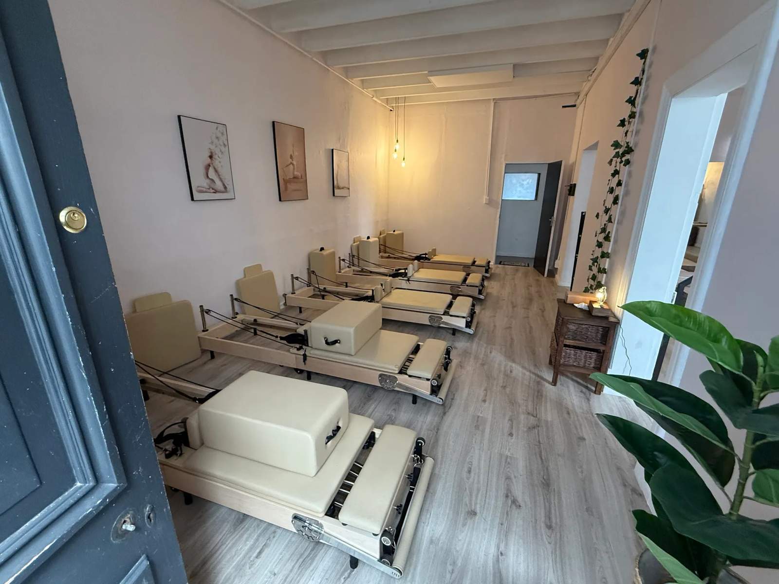 Vine Wellness — photo 3
