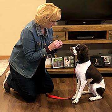 Black Dog Training LLC — photo 4