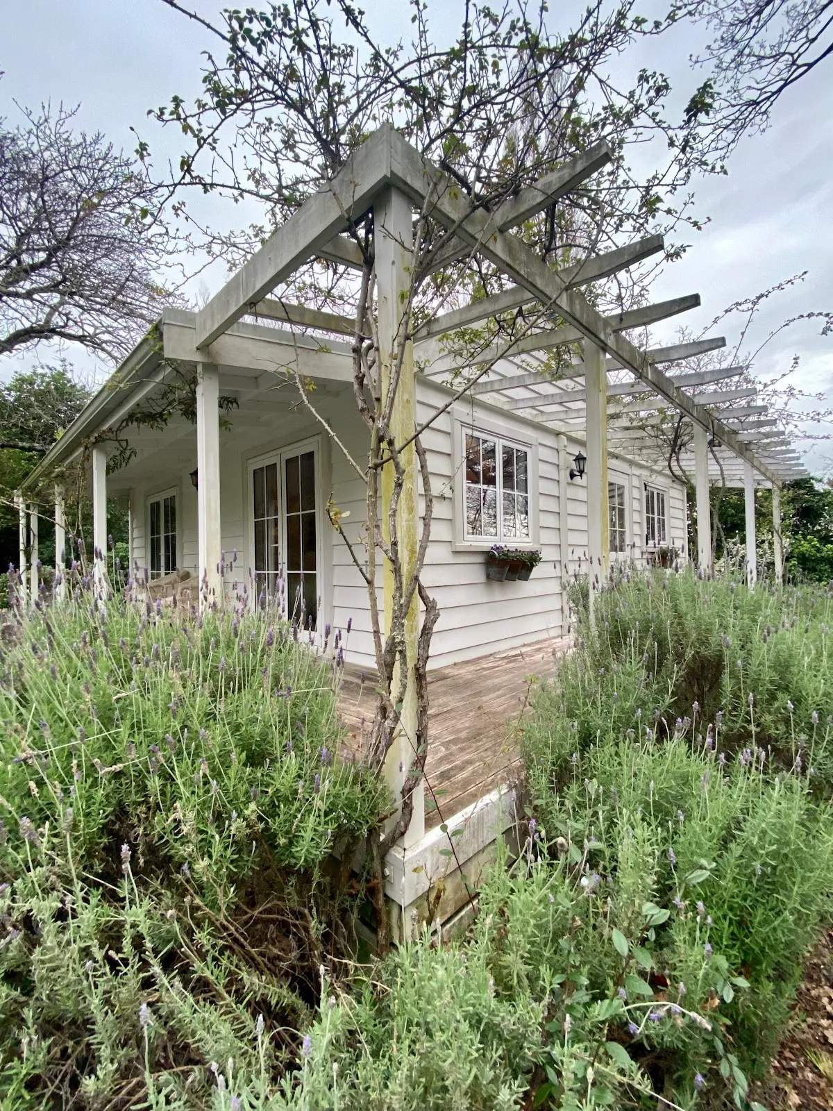 Little Branches Bed and Breakfast — photo 2