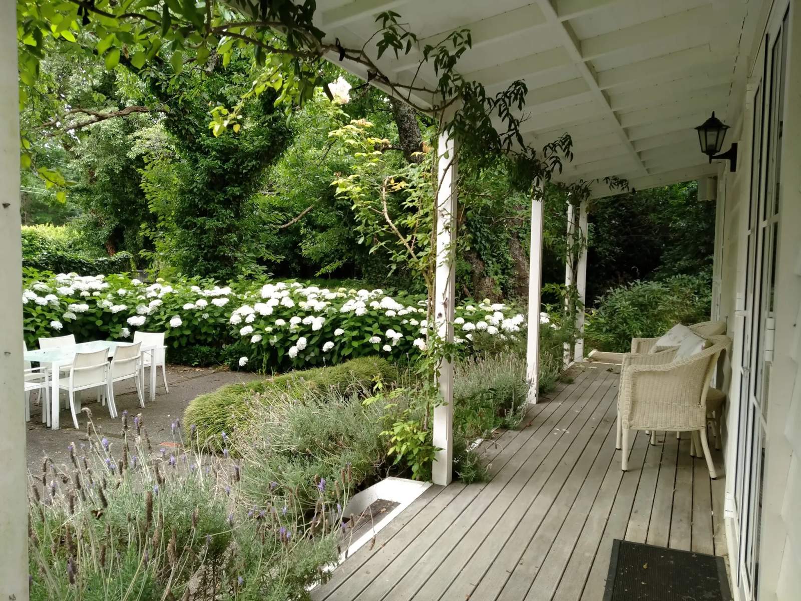 Little Branches Bed and Breakfast — photo 3