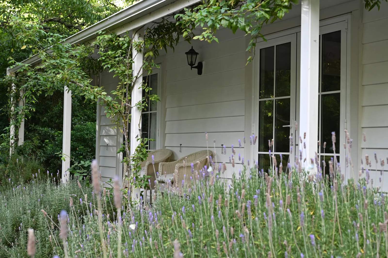 Little Branches Bed and Breakfast — photo 1