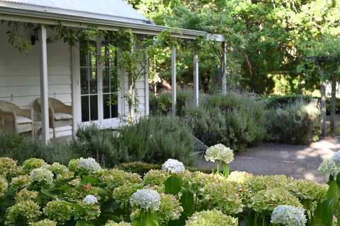 Little Branches Bed and Breakfast — photo 4